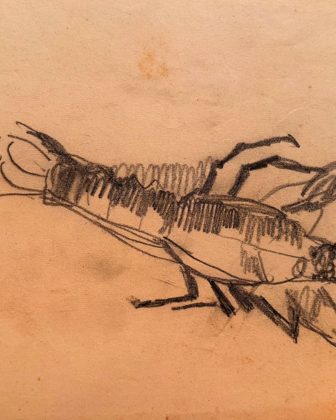 Disegno a matita su carta beige: due mani stilizzate si stringono in un abbraccio.
